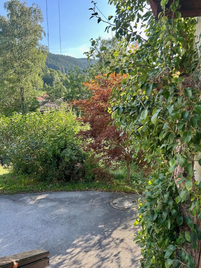 Apartment Huberspitz - Ruhe, Berge & Natur Hausham Kültér fotó